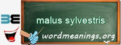 WordMeaning blackboard for malus sylvestris